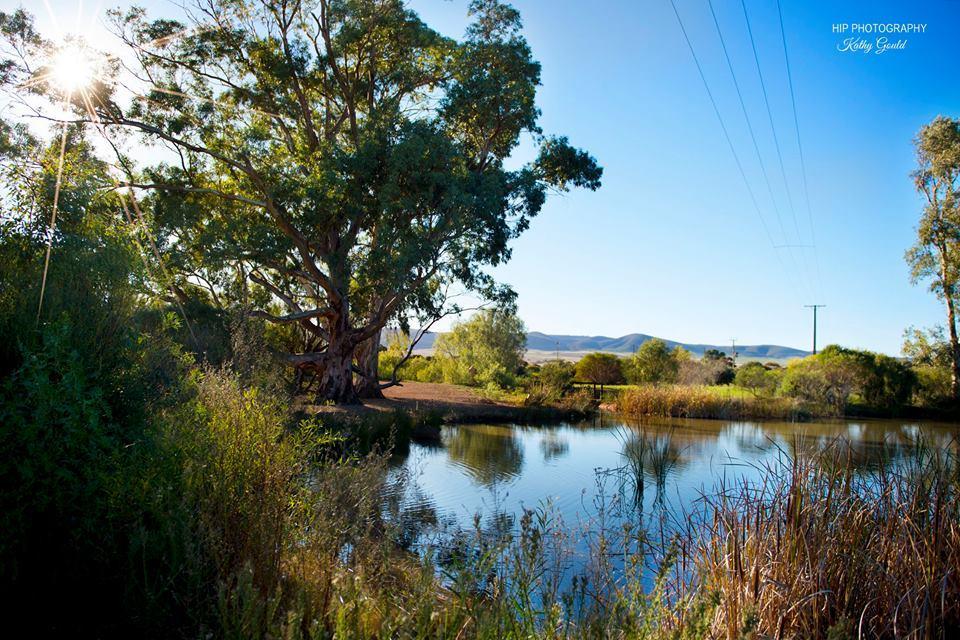 Still Earth Port Pirie Exteriér fotografie